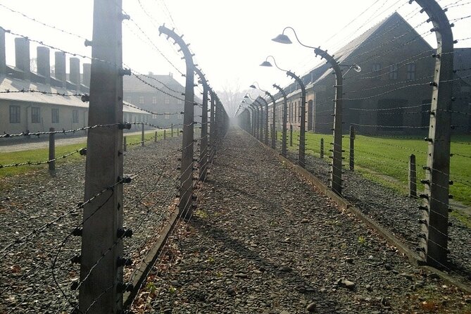 Auschwitz and Birkenau Guided Tour from Krakow - Auschwitz II-Birkenau and the Scale of the Camp