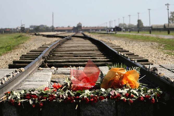 Auschwitz and Birkenau Guided Tour from Krakow - Should You Book It?