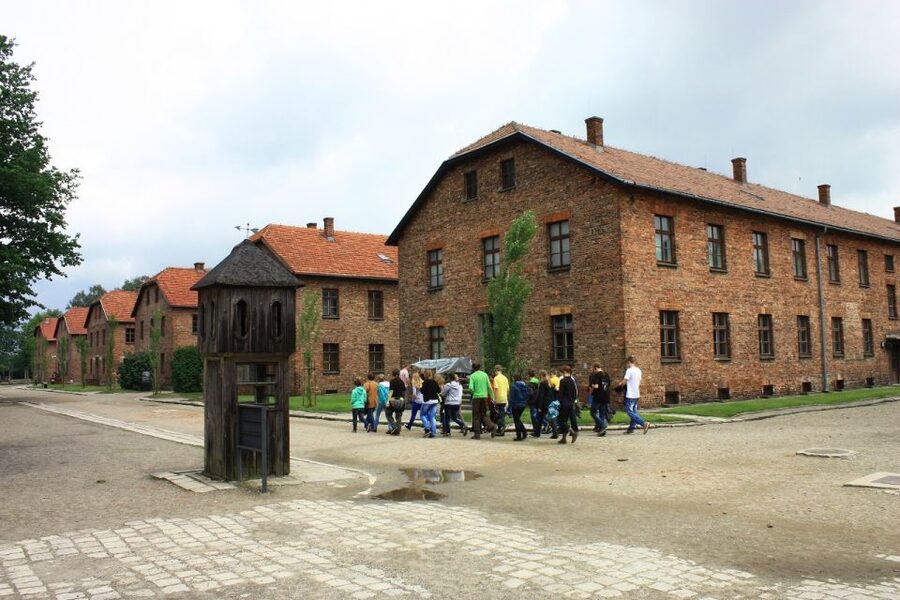 Auschwitz-Birkenau and Krakow Private Car Trip from Katowice - Handling the emotional weight of the day