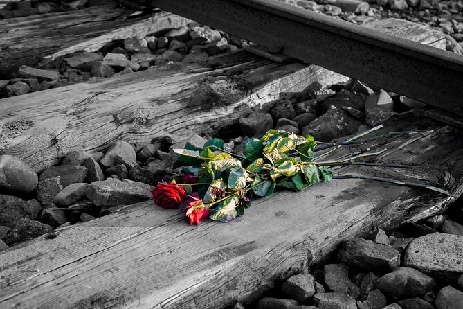 Auschwitz Birkenau and Salt Mine Full Day Guided Tour from Krakow hotel pick up - The drivers can make or break the day