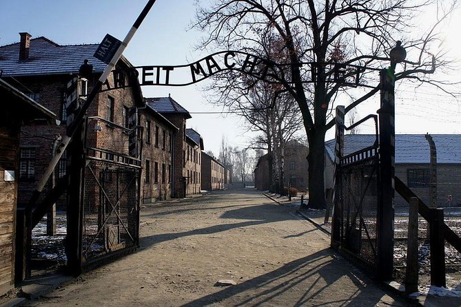 Auschwitz-Birkenau and Salt Mine Full day tour - Pickup from central Krakow