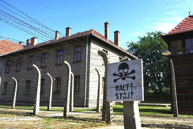 Auschwitz-Birkenau and Salt Mine Full day tour - Timing, group size, and the value of the included guide