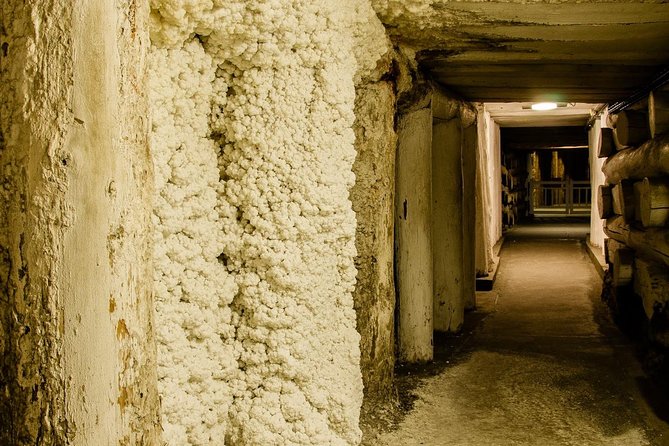 Auschwitz-Birkenau and Wieliczka Salt Mine Day Tour from Krakow with private car - Auschwitz-Birkenau requires time and attention