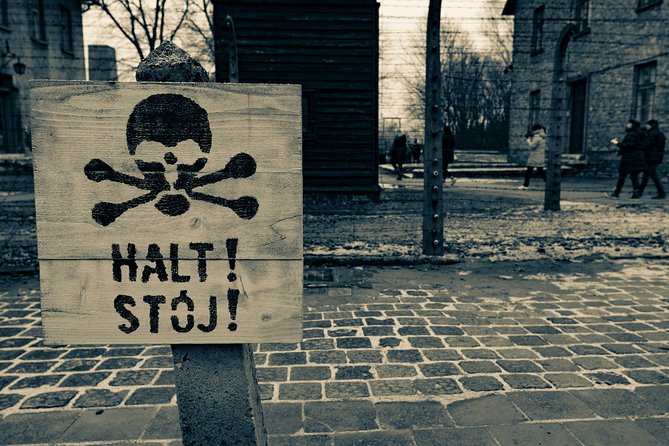 Auschwitz-Birkenau and Wieliczka Salt Mine Day Tour from Krakow with private car - Timing, pickup, and group realities