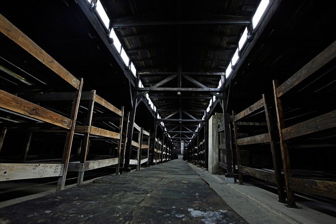 Auschwitz Birkenau: Complete Private Tour - A serious day trip from Krakow