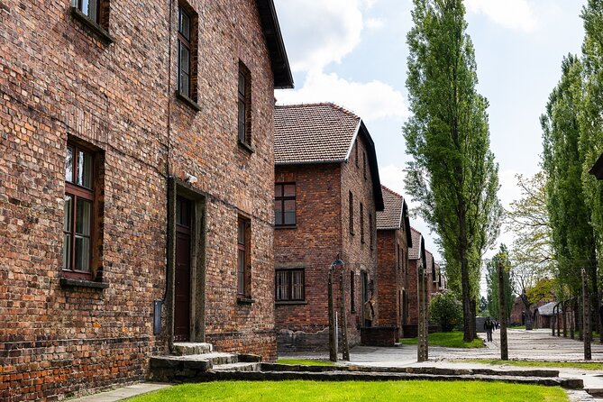 Auschwitz-Birkenau: Day Trip & Transfer from Kraków - Walking, weather, and what to bring