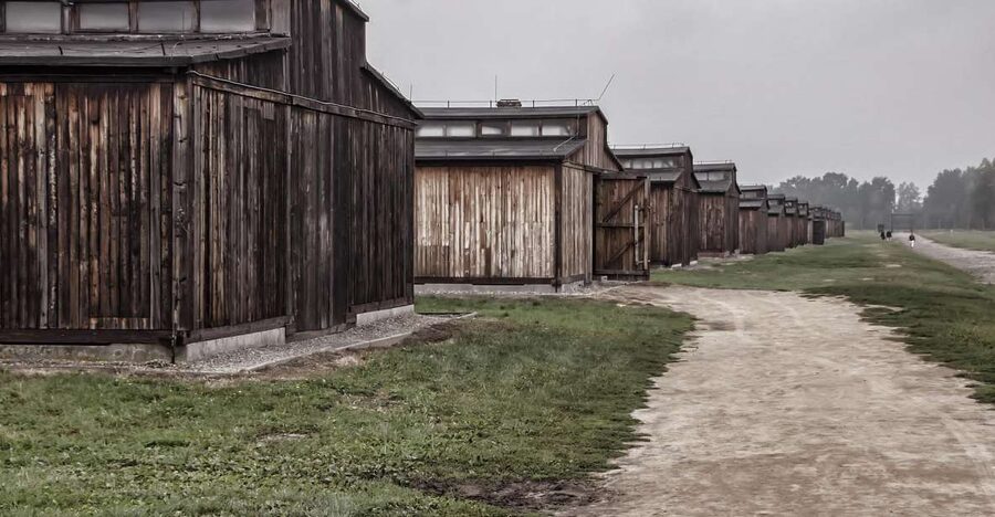 Auschwitz-Birkenau: Entrance Ticket and Live Tour Guide - Why the two-camp format matters