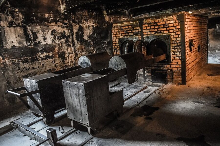 Auschwitz-Birkenau: Entrance Ticket and Live Tour Guide - Starting at Auschwitz I in Oświęcim