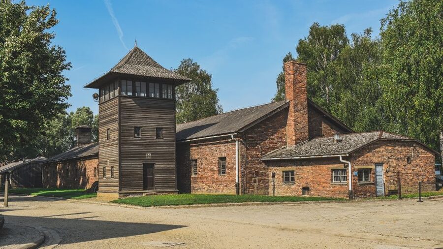 Auschwitz-Birkenau: Entrance Ticket and Live Tour Guide - Who will get the most from this visit
