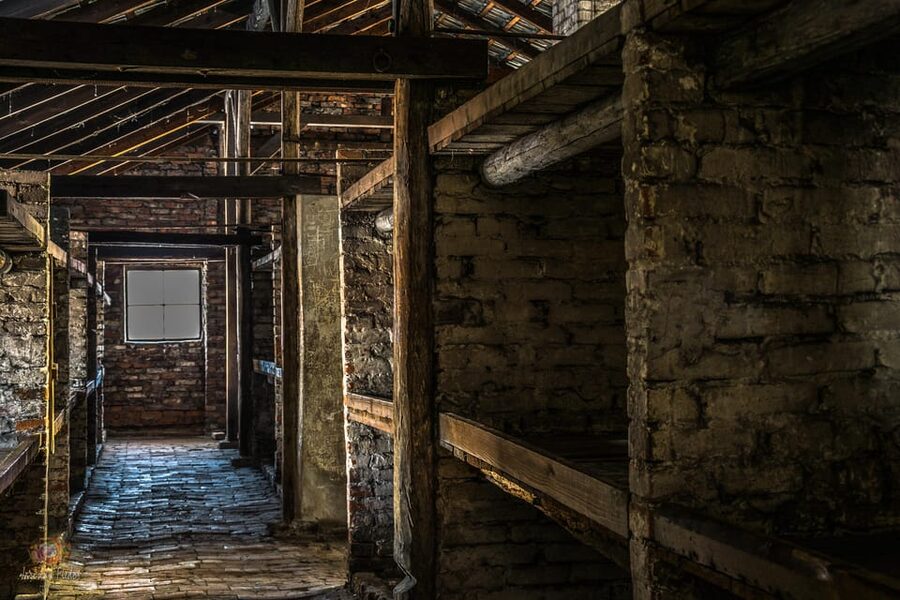 Auschwitz-Birkenau: Guided Tour and Skip-The-Line Ticket - Birkenau, the final hour