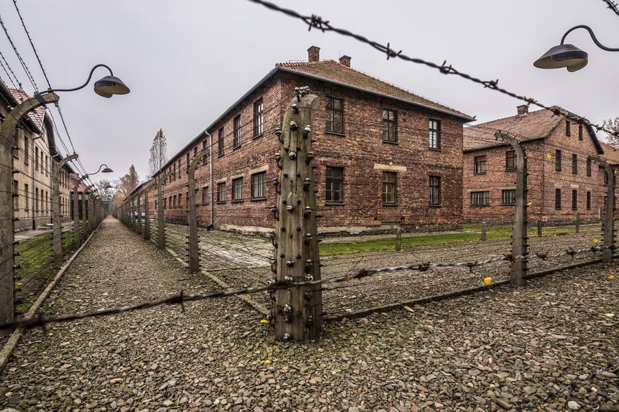 Auschwitz-Birkenau: Guided Tour and Skip-The-Line Ticket - What the $10 price really includes