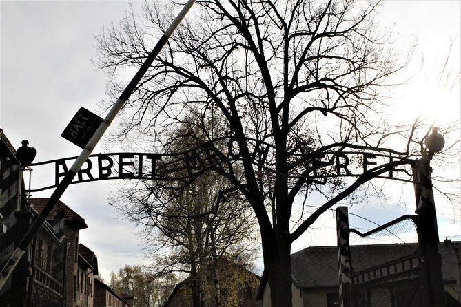 Auschwitz-Birkenau Guided Tour by Private Transport from Krakow - Birkenau: Scale, Silence, and a Long Walk