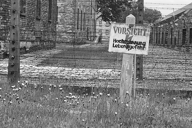 Auschwitz-Birkenau guided tour from Krakow - private car - What the three-hour museum visit feels like