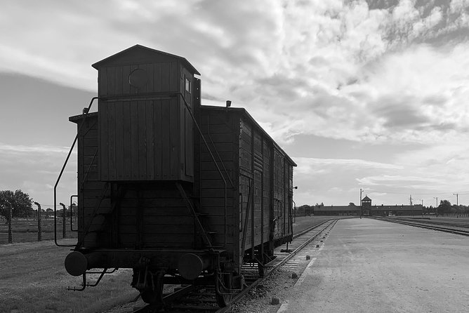 Auschwitz-Birkenau guided tour from Krakow - private car - Who should choose this tour