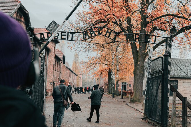Auschwitz Birkenau guided tour from Krakow private chauffeur - Why the private ride matters on this Krakow day trip