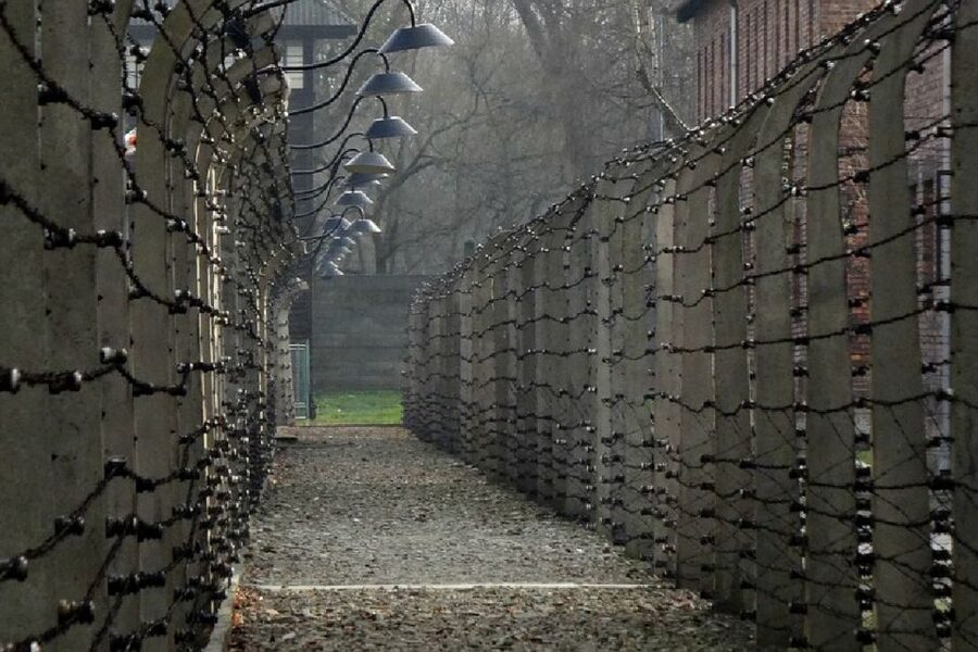 Auschwitz-Birkenau Guided Tour & Transfer from Krakow - Why Auschwitz-Birkenau Requires a Full Day