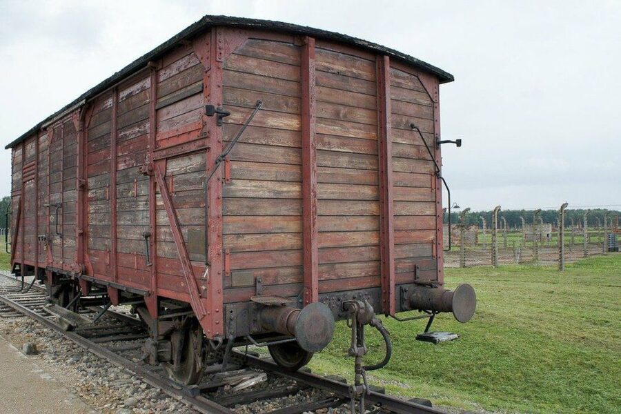Auschwitz-Birkenau Guided Tour & Transfer from Krakow - What the Guide Adds to a Difficult Visit