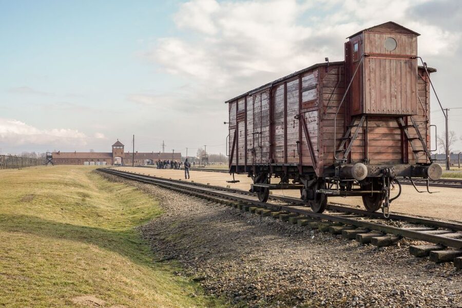 Auschwitz-Birkenau Guided Tour & Transfer from Krakow - Who Should Book This Auschwitz Tour