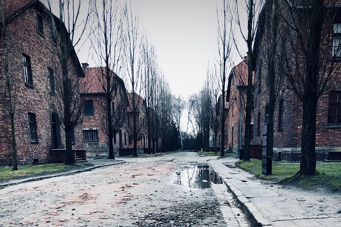 Auschwitz-Birkenau Guided Tour with Private Transport from Kraków - Key points to know before booking