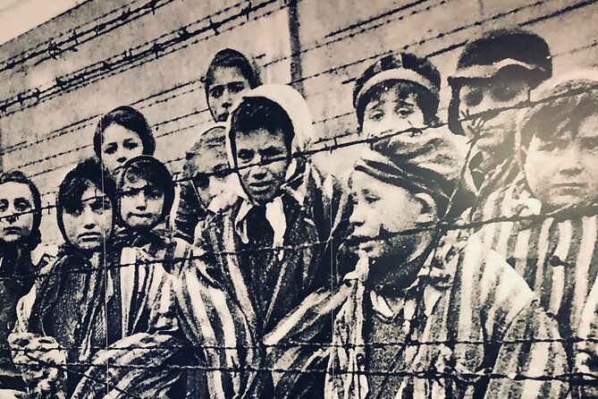 Auschwitz-Birkenau Guided Tour with Private Transport from Kraków - Why this Auschwitz day trip matters