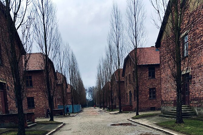 Auschwitz-Birkenau Guided Tour with Private Transport from Kraków - Understanding Birkenau and the scale of the site