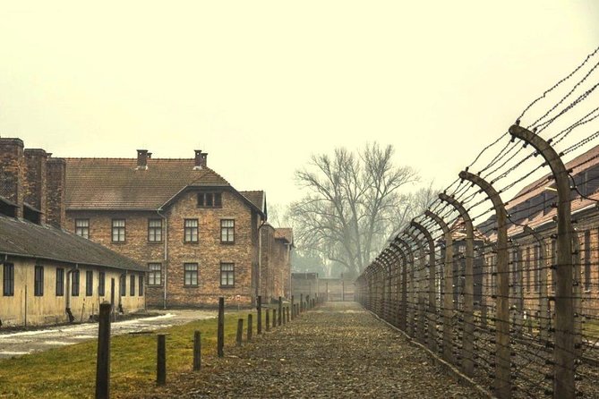 Auschwitz Birkenau Memorial and Museum group tour from Krakow - The transfer to Birkenau and the change in scale