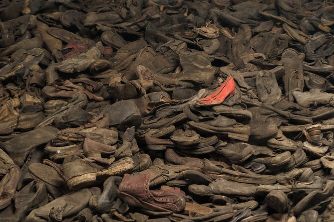 Auschwitz-Birkenau Memorial Entrance Ticket and Guided Tour - Price, group size, and what the $36 covers