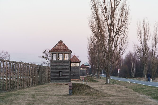 Auschwitz-Birkenau Memorial Entrance Ticket and Guided Tour - Common problems to watch for