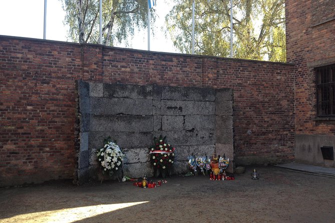 Auschwitz-Birkenau Museum and Memorial Guided Tour from Krakow - Birkenau: the scale becomes clear