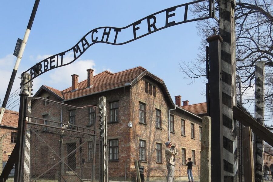 Auschwitz-Birkenau: Museum Entry Ticket with Guided Tour - Why this Auschwitz visit needs careful planning