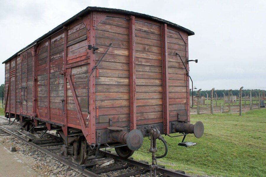 Auschwitz-Birkenau: Museum Entry Ticket with Guided Tour - The emotional weight and the brisk pace