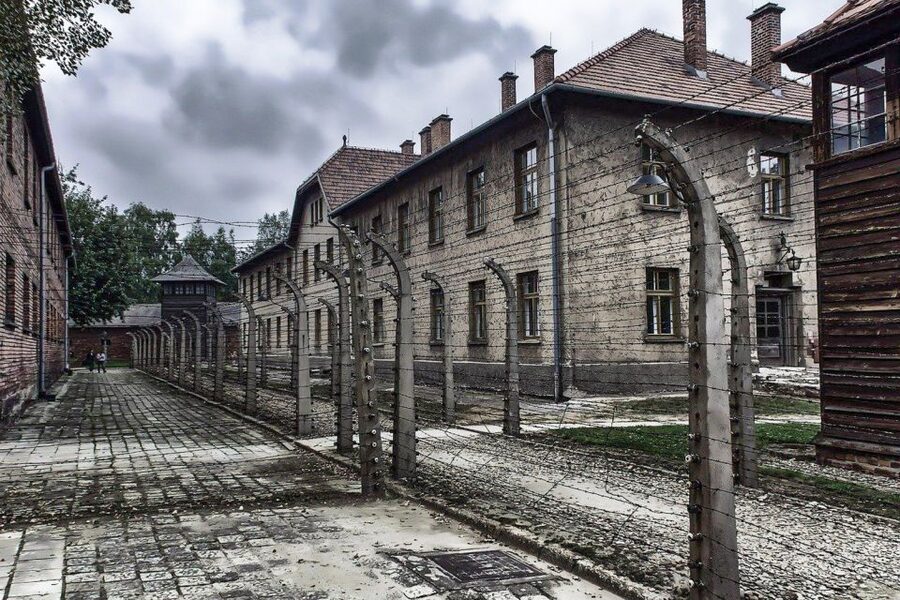 Auschwitz-Birkenau: Museum Entry Ticket with Guided Tour - Is the $52 price good value?