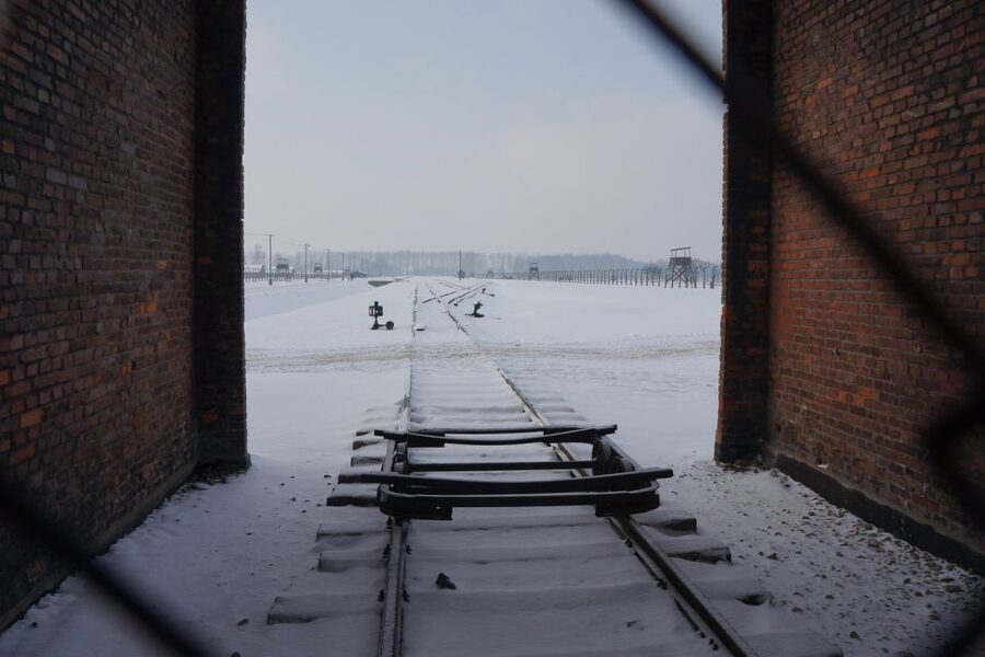 Auschwitz-Birkenau: Museum Entry Ticket with Guided Tour - Who should book this guided visit?