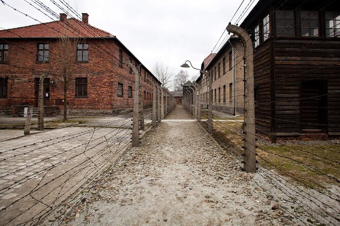 Auschwitz-Birkenau & Salt Mine Day tour - Transport, return drop-off, and small practical details