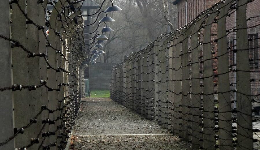 Auschwitz-Birkenau & Salt Mine Tour in One Day from Krakow - Auschwitz-Birkenau: a serious visit with clear guidance