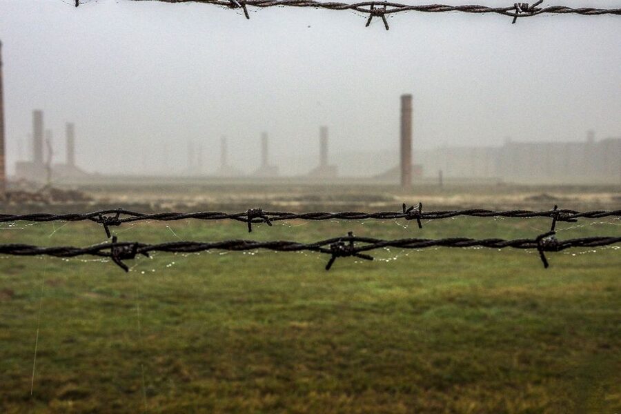 Auschwitz-Birkenau: Skip-the-Line Entry Ticket & Guided Tour - Key points to know before you book