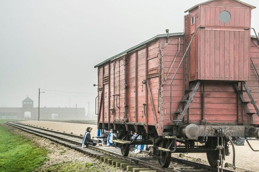 Auschwitz-Birkenau: Skip-the-Line Entry Ticket & Guided Tour - Why this Auschwitz visit needs careful planning