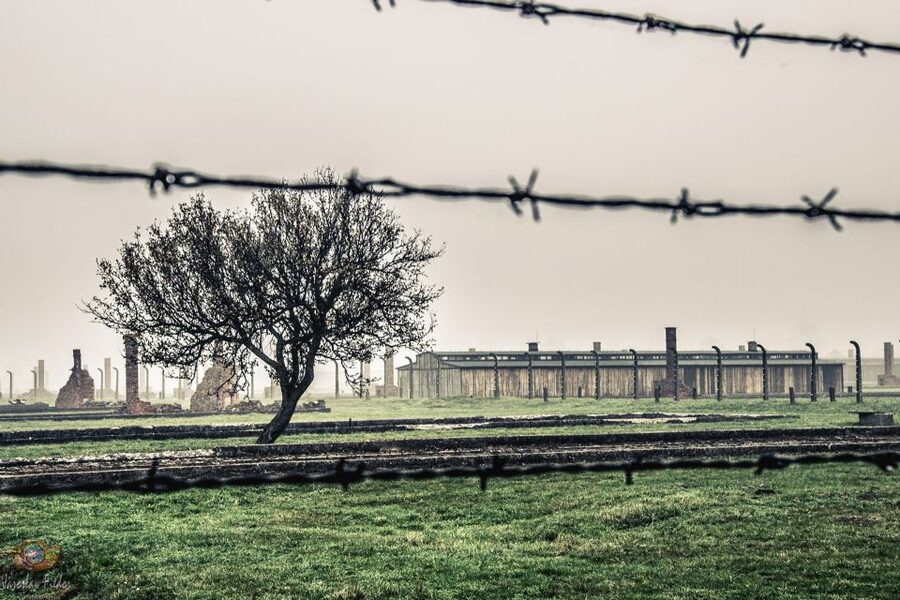 Auschwitz-Birkenau: Skip-the-Line Entry Ticket & Guided Tour - What you see inside the preserved camp