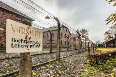 Skip-the-Line Entry Ticket & Guided Tour