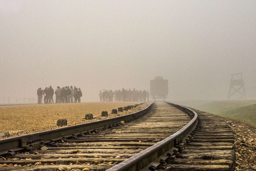 Auschwitz-Birkenau: Skip-the-Line Entry Ticket & Guided Tour - Birkenau and the scale of the crime