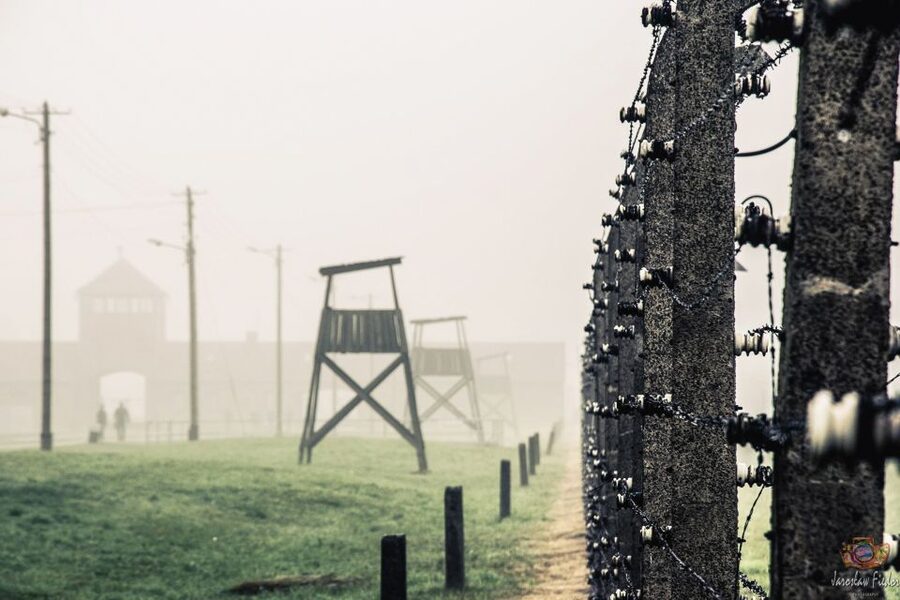 Auschwitz-Birkenau: Skip-the-Line Entry Ticket & Guided Tour - Guides, languages, and the human side of the tour