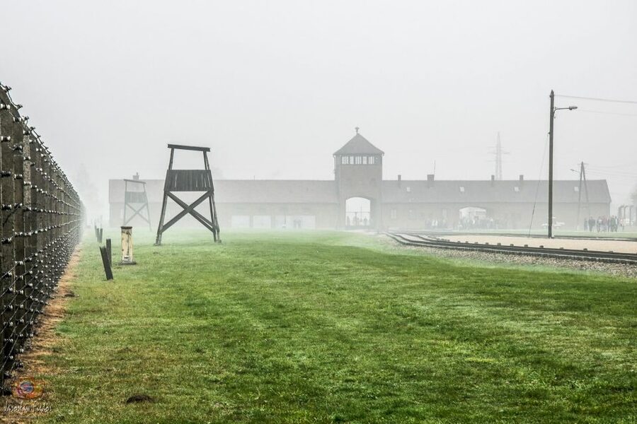 Auschwitz-Birkenau: Skip-the-Line Entry Ticket & Guided Tour - Who should book this guided visit?
