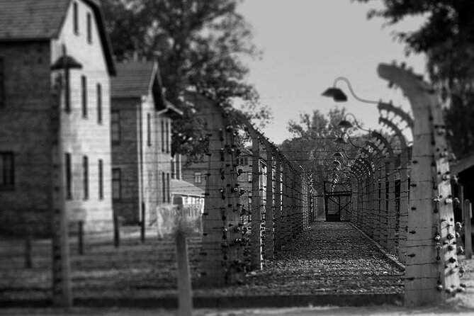 Auschwitz Birkenau Transfer and Guide with Salt Mine Combo Option - Drivers Make the Long Day Easier