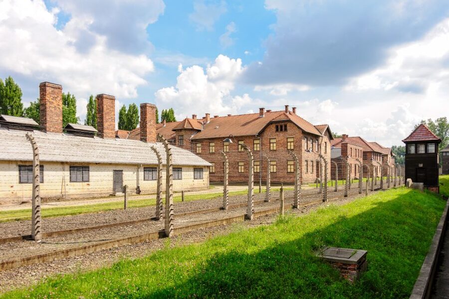 Auschwitz Ticket and Full-Day Tour from Krakow - The guide and transport are the biggest advantages