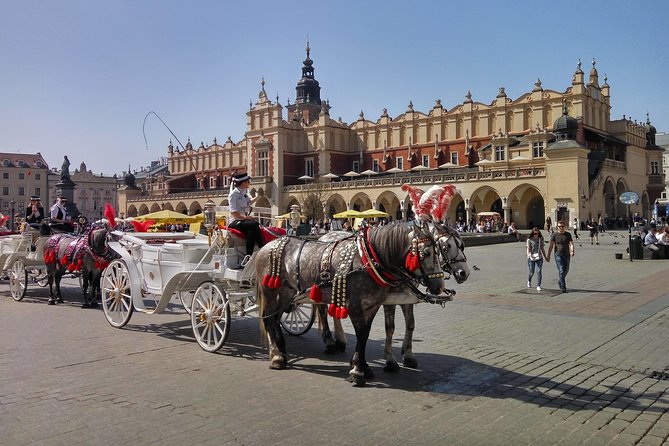 City Tour by electric car- Krakow - Is $206.35 good value?