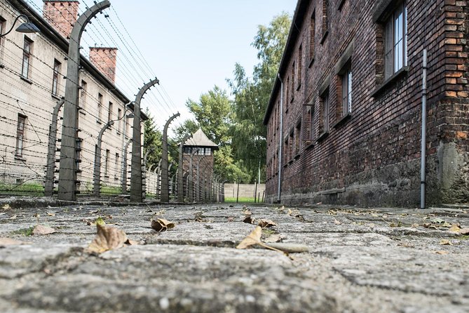 Combined: Auschwitz Birkenau and Salt Mine private chauffeur from Krakow - Birkenau: more space, heavier silence