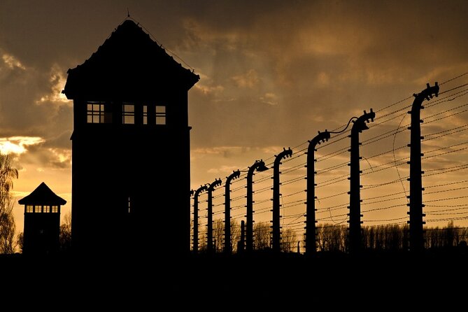 Exclusive Small Group Auschwitz-Birkenau Guided Tour from Krakow - Birkenau: scale, barracks, and the unloading ramp