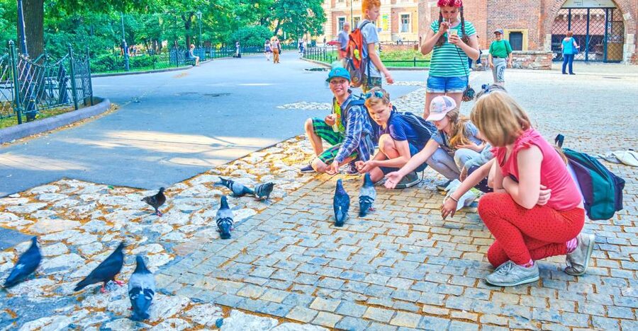 Family Tour of Krakow Old Town with Sweets Factory & Cruise - The Royal Route toward Wawel Hill