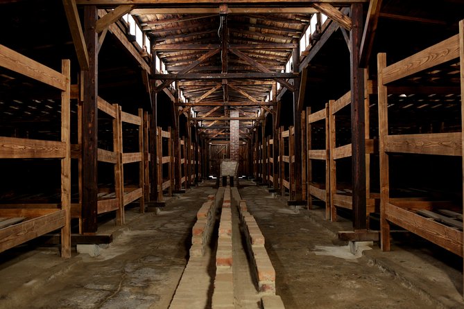 From Cracow: Auschwitz- Birkenau Tour with transportation - Who will get the most from this tour