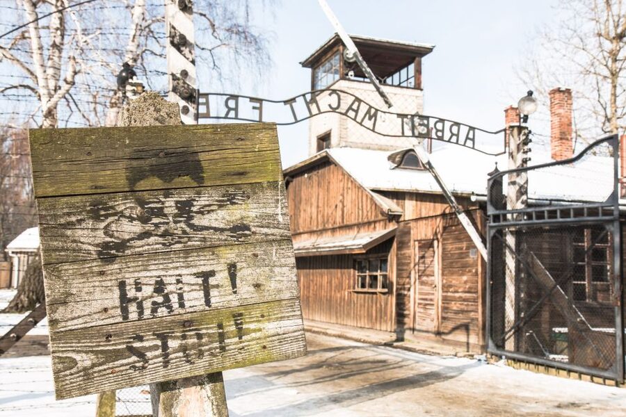 From Krakow: Auschwitz and Wieliczka Salt Mine Full-Day Trip - A respectful guide makes a real difference